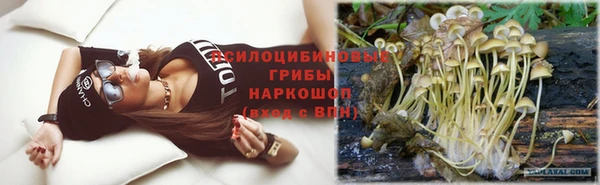 стаф Дмитров