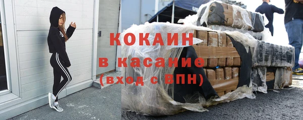 стаф Дмитров